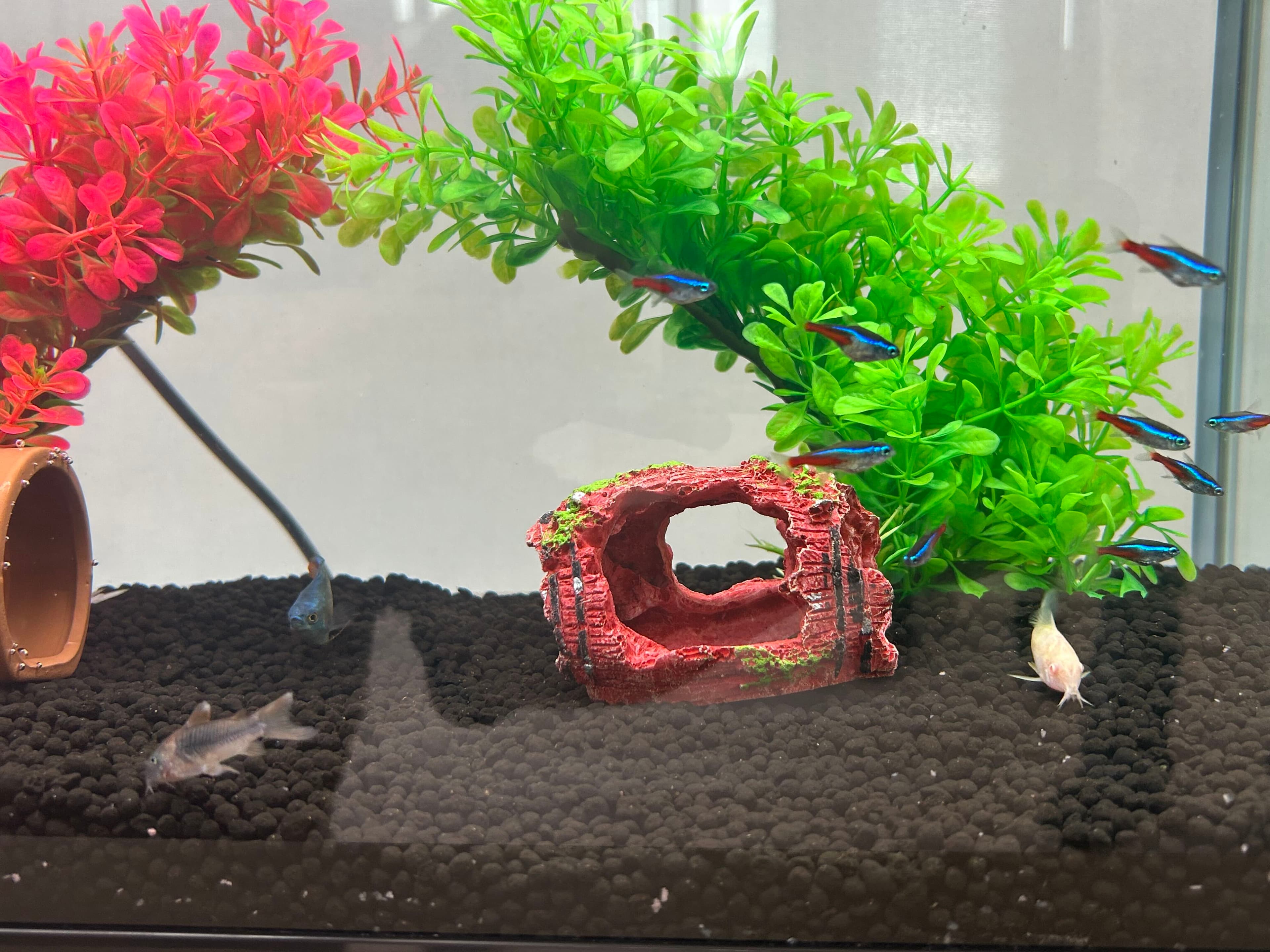 ココロネ ソリューションに新しい仲間が加わりました✨(3枚目)